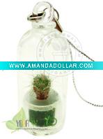 Wholesale Pet tree.Mini plant.Angel plant