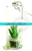 Pet tree.Key chain.Baby plant
