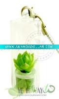 Key chain,Pet Tree,Mini Plant