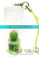 Pet Plant