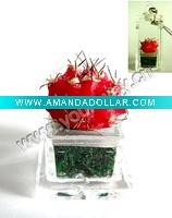 Wholesale Pet tree.Pet plant.Mini plant
