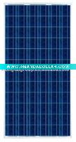 Wholesale 250W Polycrystalline Silicon Solar Module
