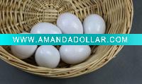 Wholesale plastic educational toys,Egg Toys,intelligence toy