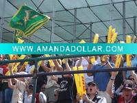 Wholesale cheering sticks