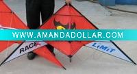 promotional delta kite