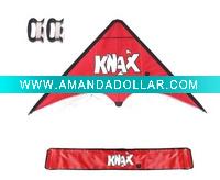 Kite