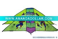 Sport Kite