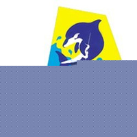 FY-304 Dolphin kite