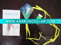 Promotional paper kite