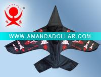 Plane kite