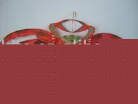 Crab kite