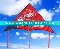 promotional delta kite