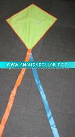 diamond kite