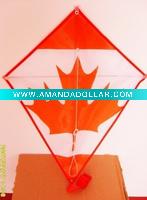diamond kite