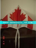 chinese advertising delta kite