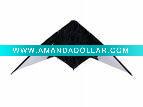 Wholesale fy-s-09 sport kite