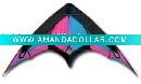 Wholesale fy-s-04 sport kite