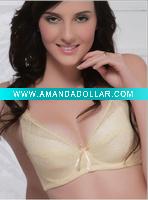 Wholesale 2011 Lady's Big number bra