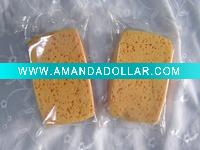 car clean sponge