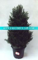 artificial topiary tree, plastic tree, plastic potted tree, plastic plant