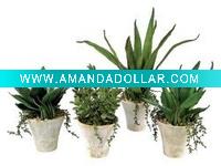 Artificial Succulents plants,Succulent(BC45909)