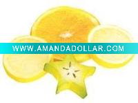 Artificial Fruit Slices - Assorted