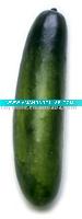 Wholesale Artificial Cucumber Vegetable