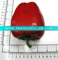 Wholesale Hotspot Artificial Pepper Vegetable