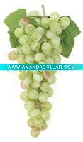 Wholesale Green Artificial Grape
