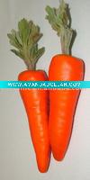 Wholesale Artificial Carrot Vegetable