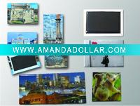 Wholesale Hot Selling Paper Fridge Magnet (TF-001)