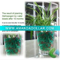 Fragreen crystal mud
