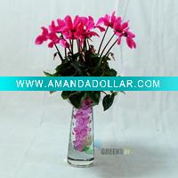 Fragreen Round crystal mud