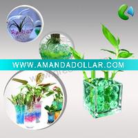 Fragreen plant soil
