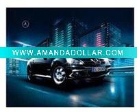 3D lenticular picture