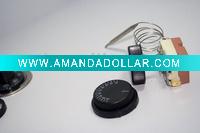 Automotive Thermostat