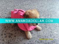 Wholesale Dog Snuggie Blanket
