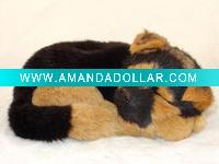 pet dog model