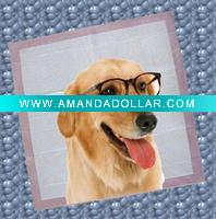 incontinence pet training pad