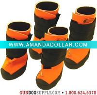 Wholesale neoprene pet shoe