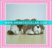 pet dog model