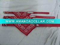 pets collars /dog collar/cat collar/2011 new arrive pets products