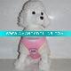 Wholesale pet harness