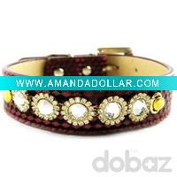 dog accessories, collars and leashes Dog products