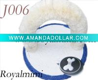 cat toy