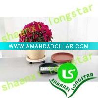 Wholesale Supply the best quality of Plastic flower tray