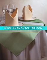 hotel napkin