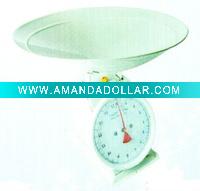 spring scale