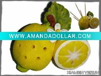 Wholesale Resin Lemon Toothpick Holder