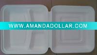 biodegradable food container
